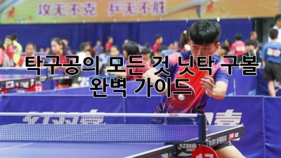탁구공의 모든 것: 닛탁 구볼 완벽 가이드