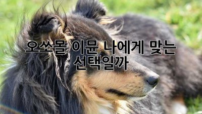 오쏘몰 이뮨, 나에게 맞는 선택일까?